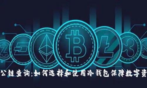 冷钱包公链查询：如何选择和使用冷钱包保障数字资产安全