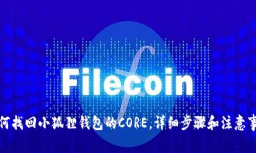 如何找回小狐狸钱包的CORE，详细步骤和注意事项