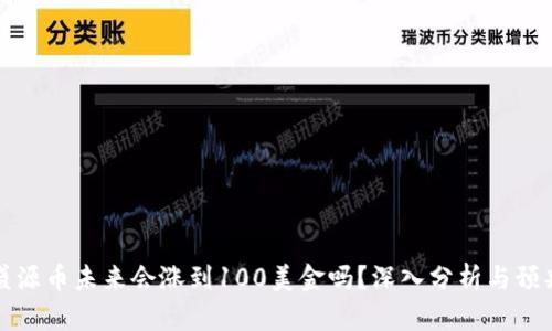 盛源币未来会涨到100美金吗？深入分析与预判