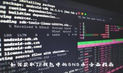 如何获取TP钱包中的BNB币:全面指南