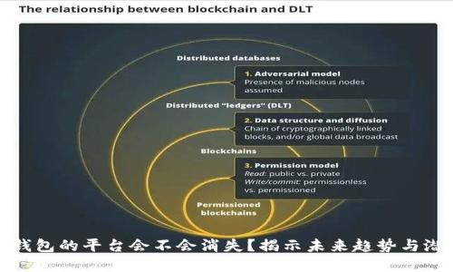 虚拟币钱包的平台会不会消失?揭示未来趋势与潜在风险