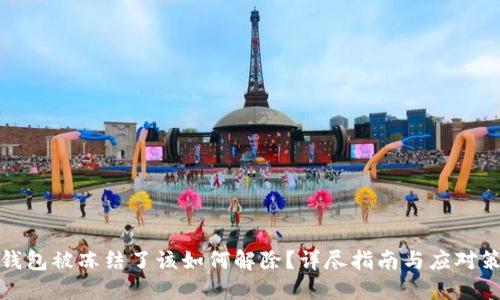 冷钱包被冻结了该如何解除?详尽指南与应对策略