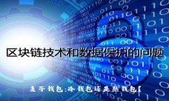 麦子钱包:冷钱包还是热钱包?