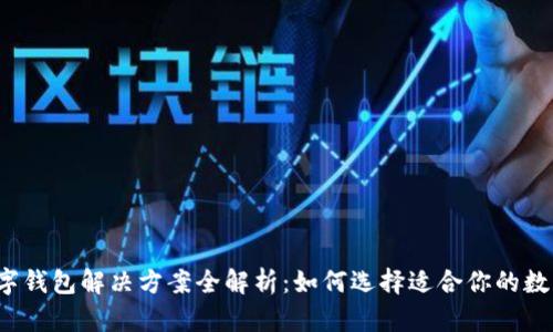 优质数字钱包解决方案全解析:如何选择适合你的数字钱包?