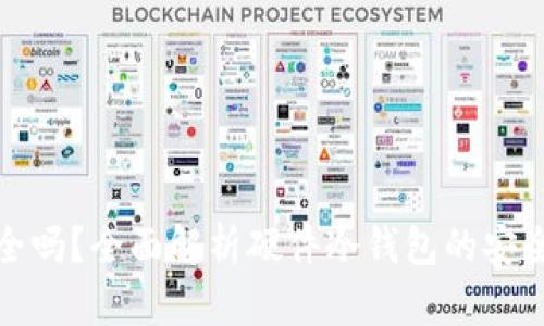 硬件冷钱包安全吗？全面解析硬件冷钱包的安全性与使用指南