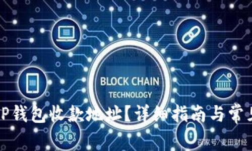 如何查看TP钱包收款地址?详细指南与常见问题解答