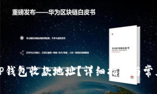 如何查看TP钱包收款地址?详细指南与常见问题解答