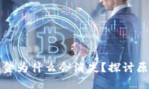 TP钱包里的资金为什么会消失?探讨原因与解决方案