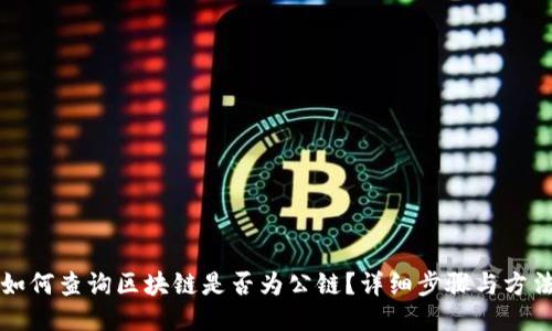如何查询区块链是否为公链?详细步骤与方法