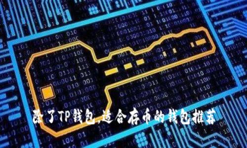 除了TP钱包，适合存币的钱包推荐
