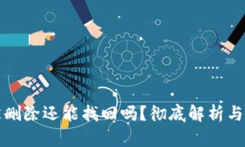 TP钱包被删除还能找回吗?彻底解析与找回指南