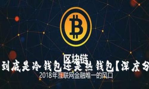 LMTOKEN到底是冷钱包还是热钱包？深度分析与比较