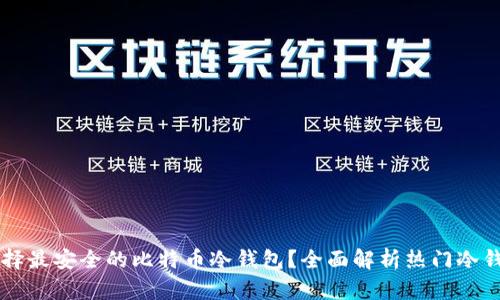 如何选择最安全的比特币冷钱包?全面解析热门冷钱包图片