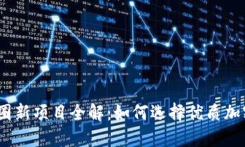 2023年币圈新项目全解:如何选择优质加密投资机会