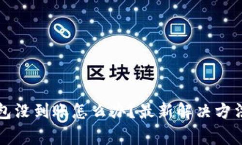 提币到TP钱包没到账怎么办?最新解决方法与注意事项