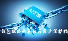 TP钱包跑路的真相与用户保护指南