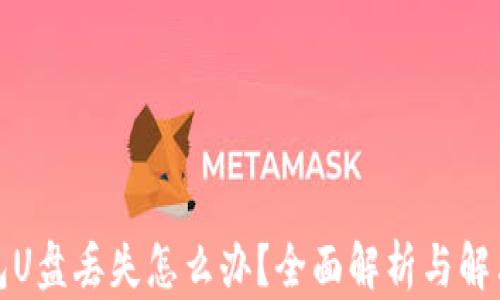 
冷钱包U盘丢失怎么办？全面解析与解决方案