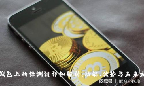 tp钱包上的绿洲链详细解析:功能、优势与未来发展