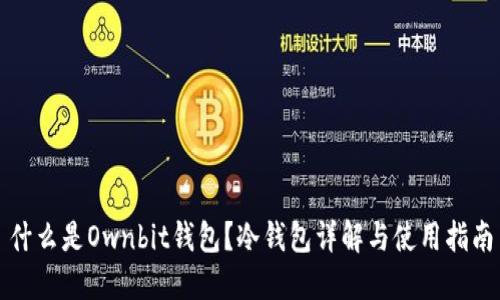 什么是Ownbit钱包？冷钱包详解与使用指南