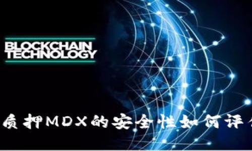 TP质押MDX的安全性如何评估?